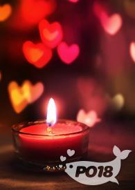 宠猫by妄言此生免费阅读