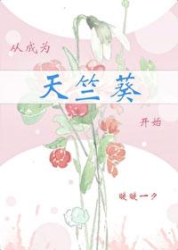 火影从打造天才人设开始免费阅读