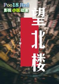 望北楼刘生真实身份