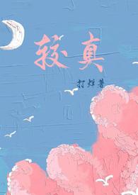 较真TXT