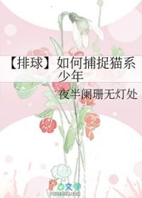 排球少年研磨猫猫